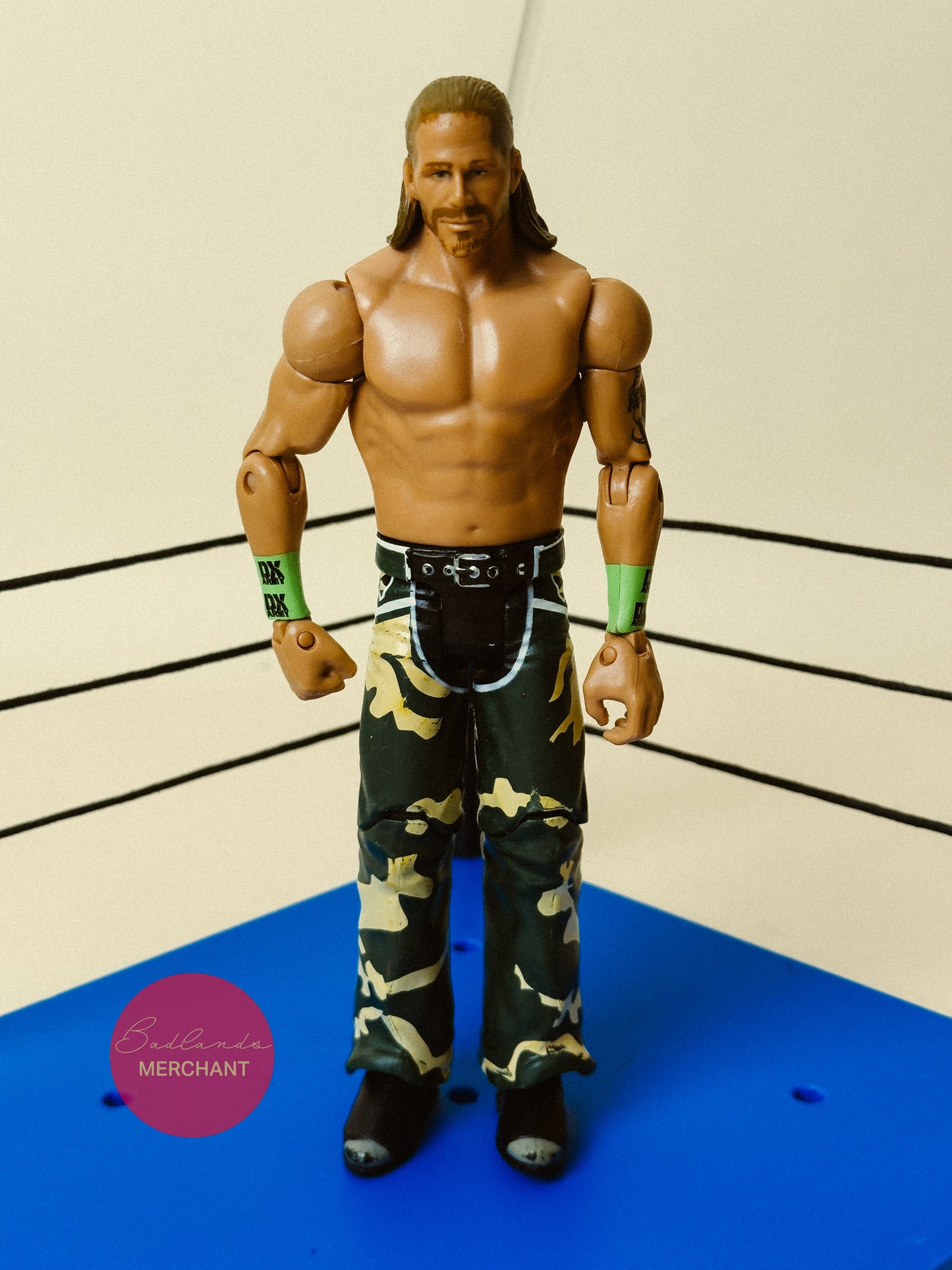 WWE Basic Series Battle Pack DX Shawn Michaels Wrestling Action Figure