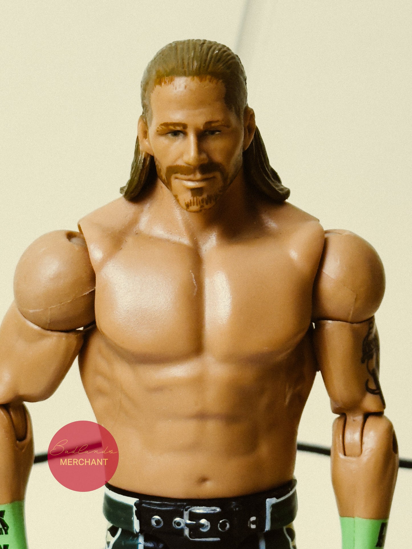 WWE Basic Series Battle Pack DX Shawn Michaels Wrestling Action Figure