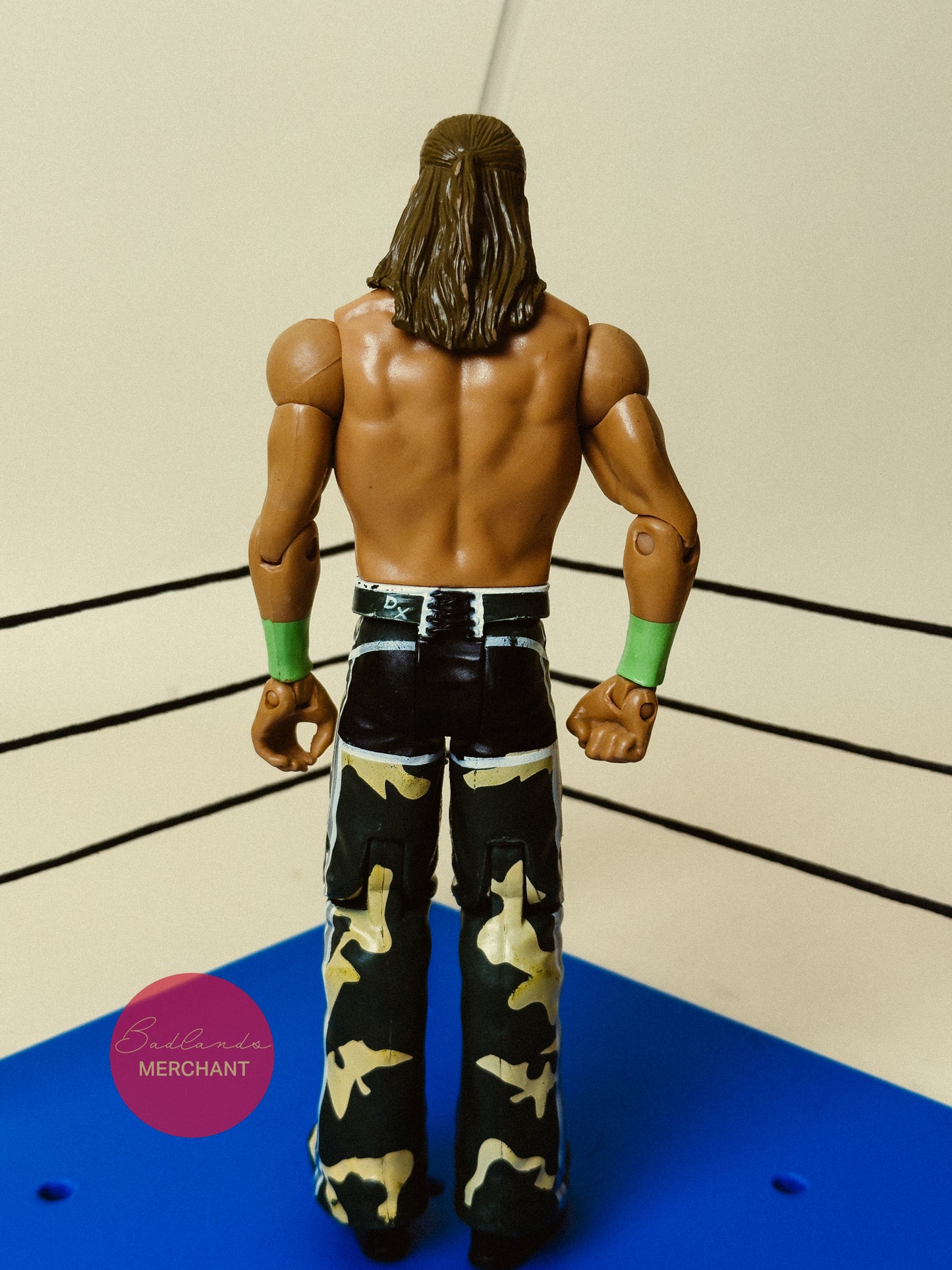 WWE Basic Series Battle Pack DX Shawn Michaels Wrestling Action Figure