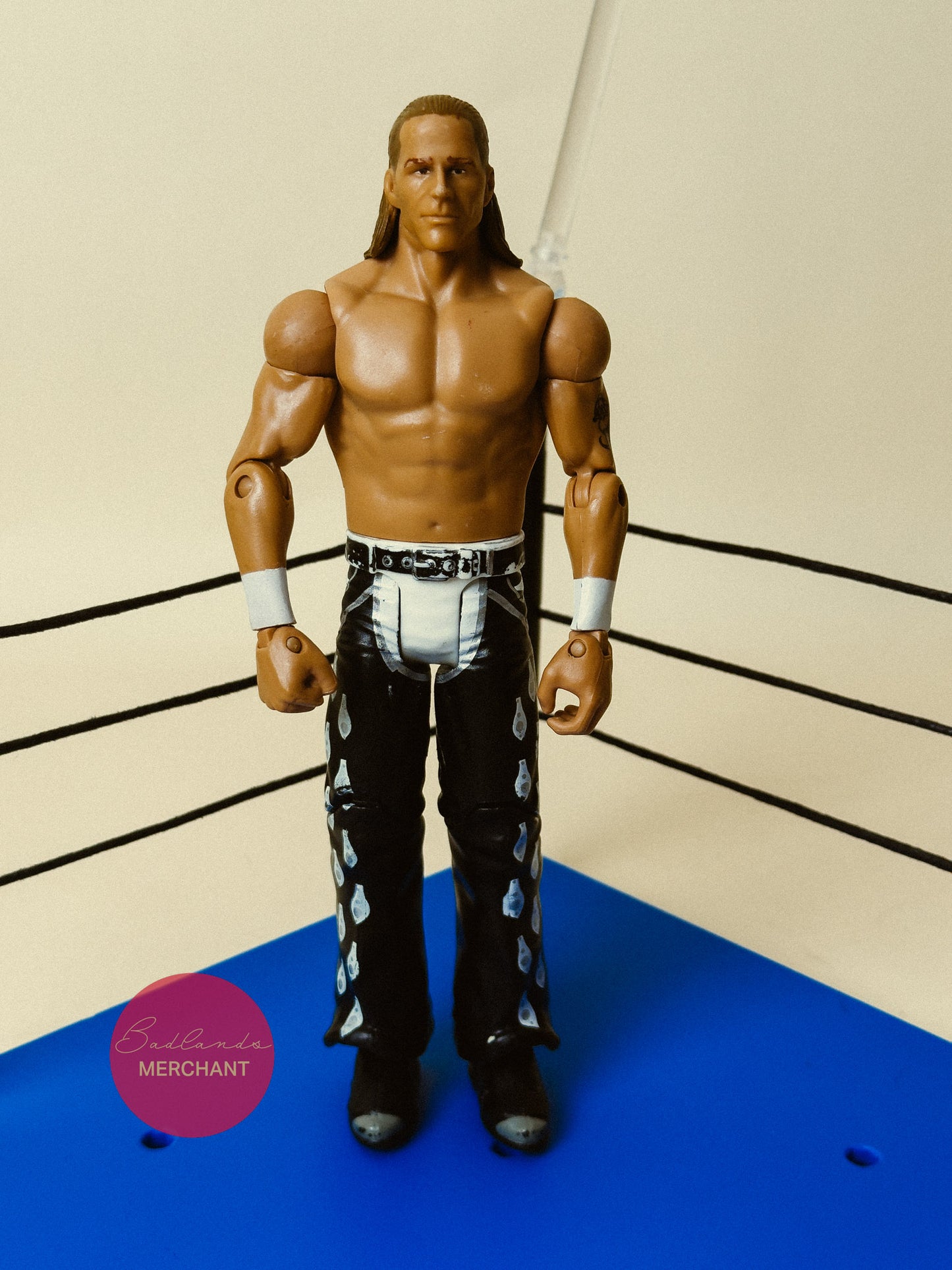 WWE SummerSlam Shawn Michaels Figure 2014