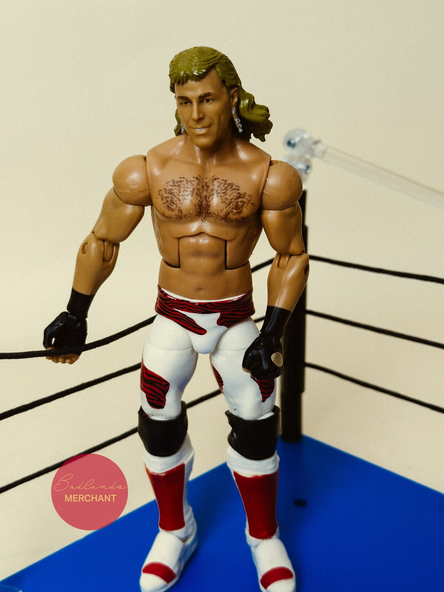 Shawn Michaels WWE Legends Elite Collection Exclusive Figure Series 17