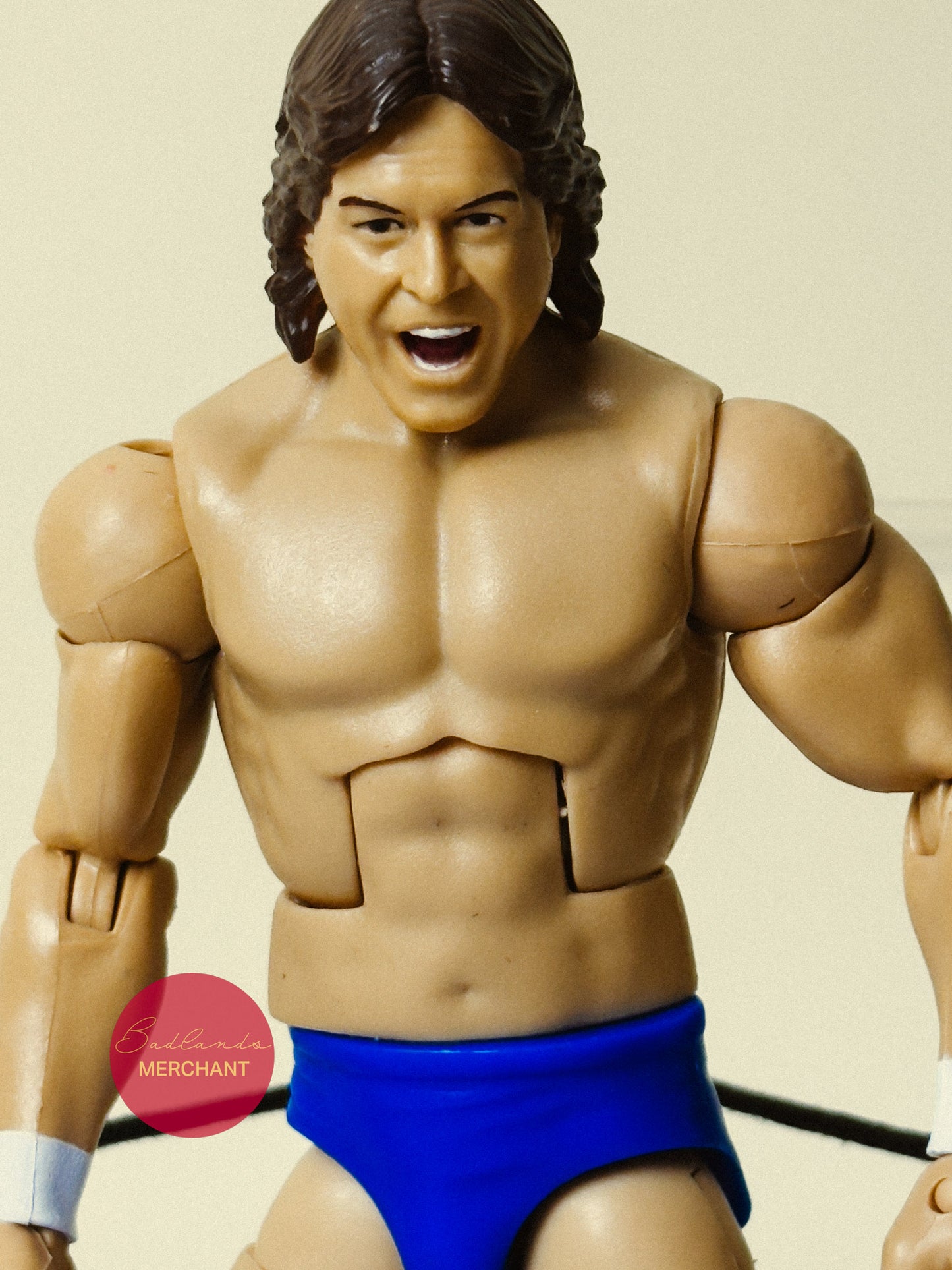 WWE Elite Legends Series Rowdy Roddy Piper Figure