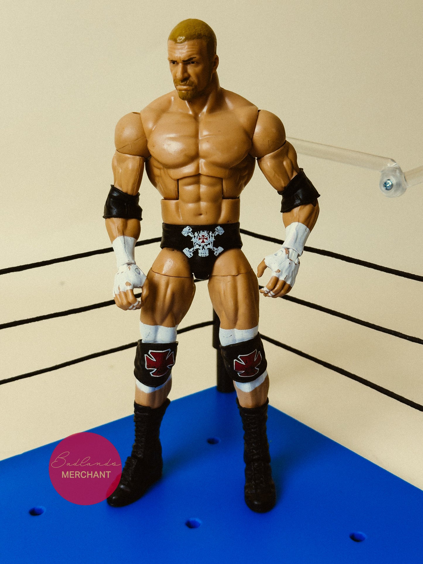 Mattel WWE Elite Wrestlemania 33 Triple H Figure Skull Mask HHH