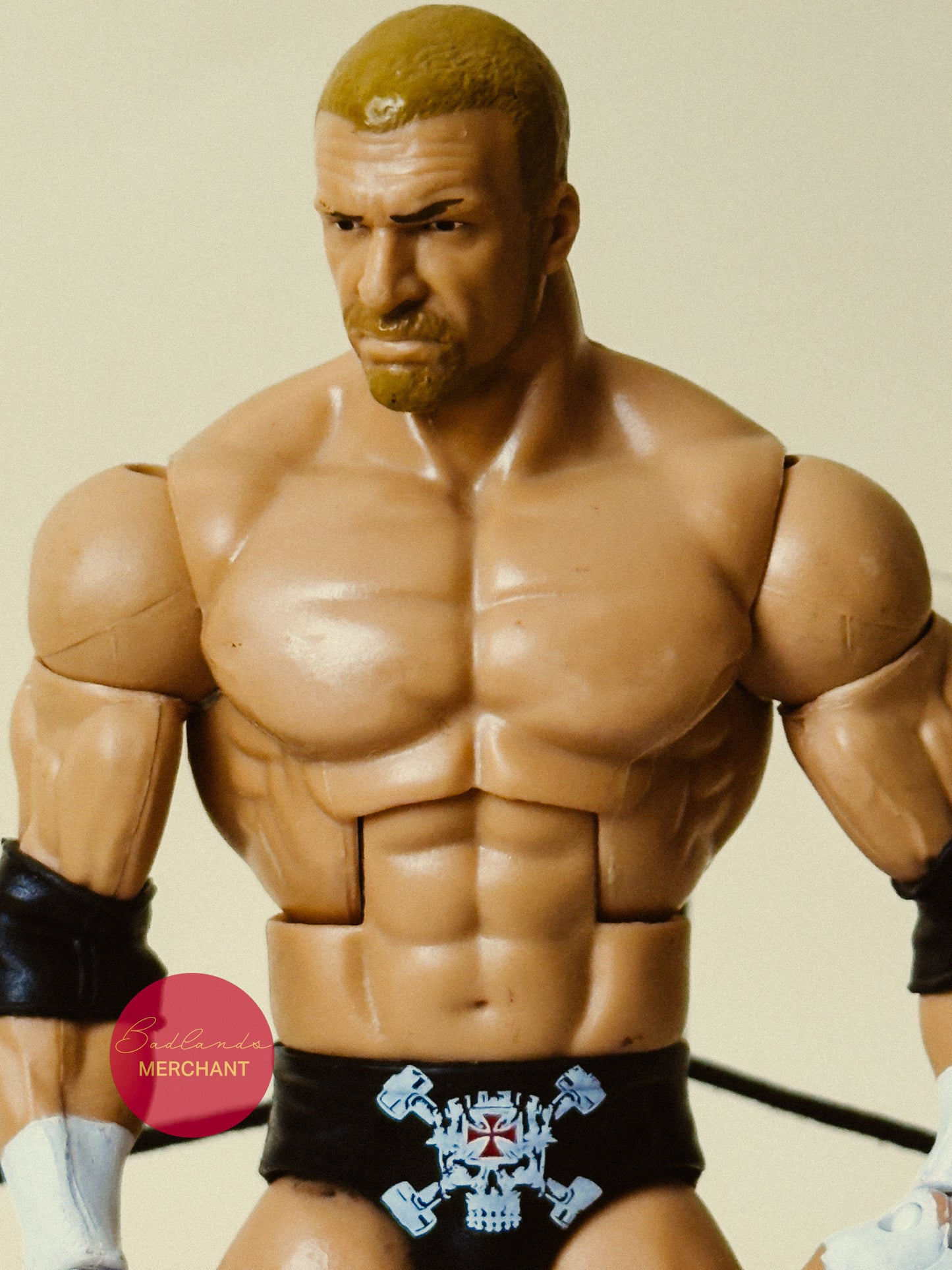 Mattel WWE Elite Wrestlemania 33 Triple H Figure Skull Mask HHH