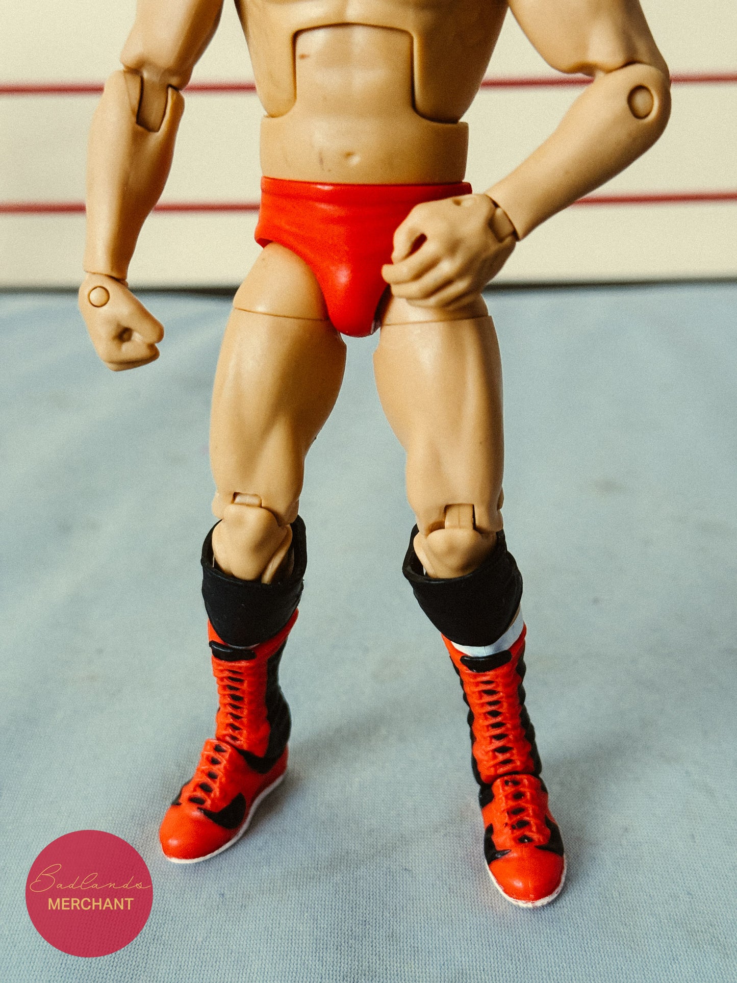 WWE Elite Legends 2 Terry Funk Figure