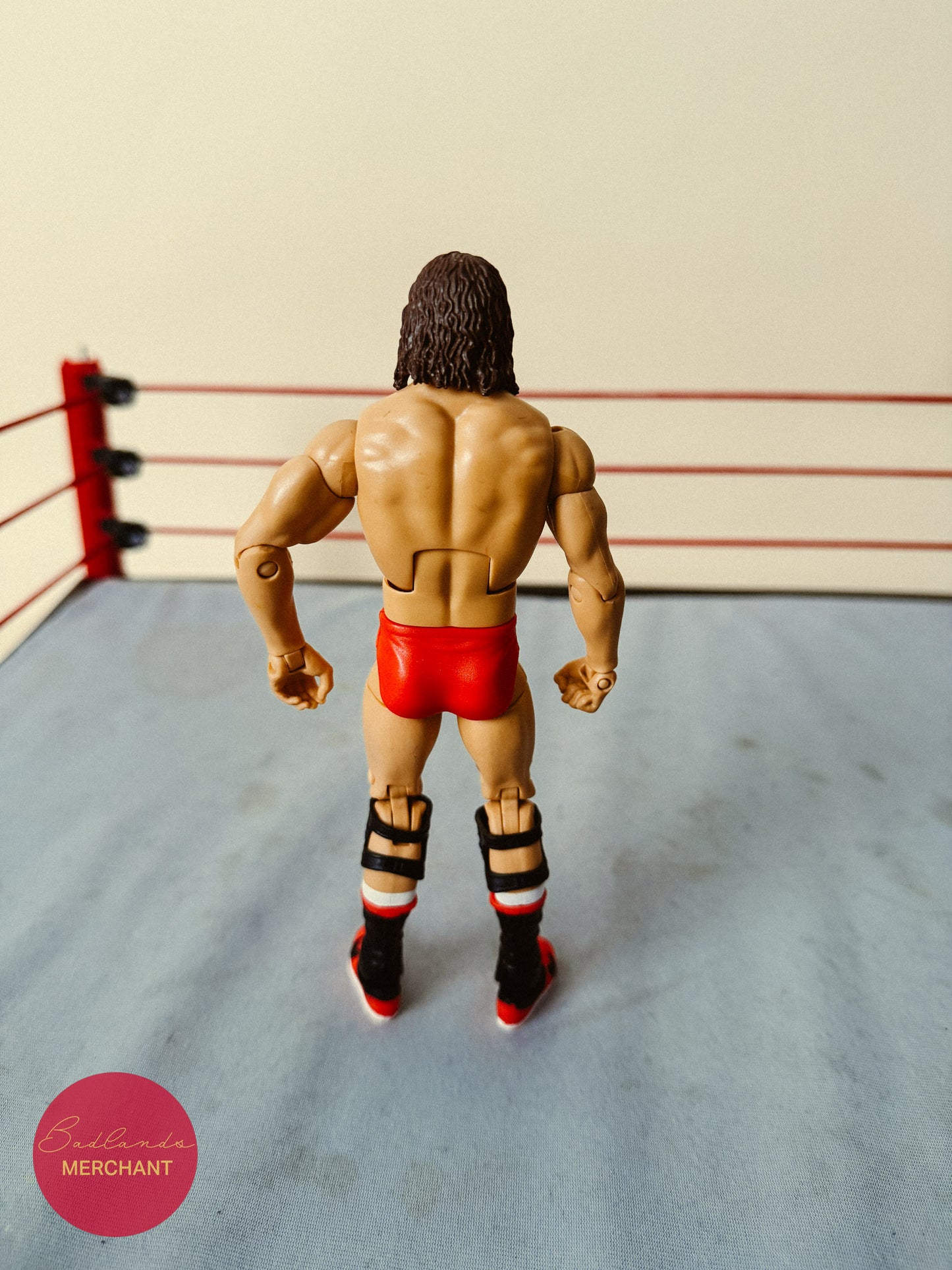 WWE Elite Legends 2 Terry Funk Figure