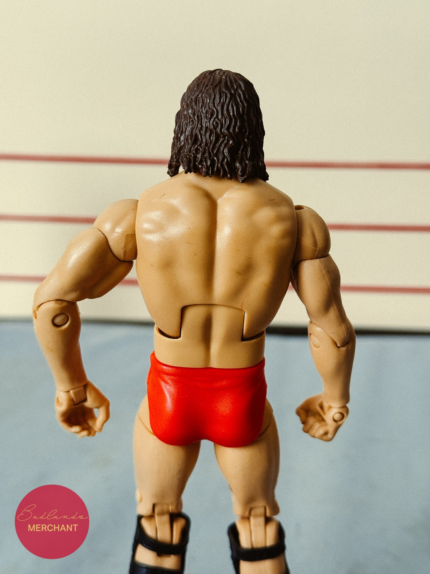 WWE Elite Legends 2 Terry Funk Figure