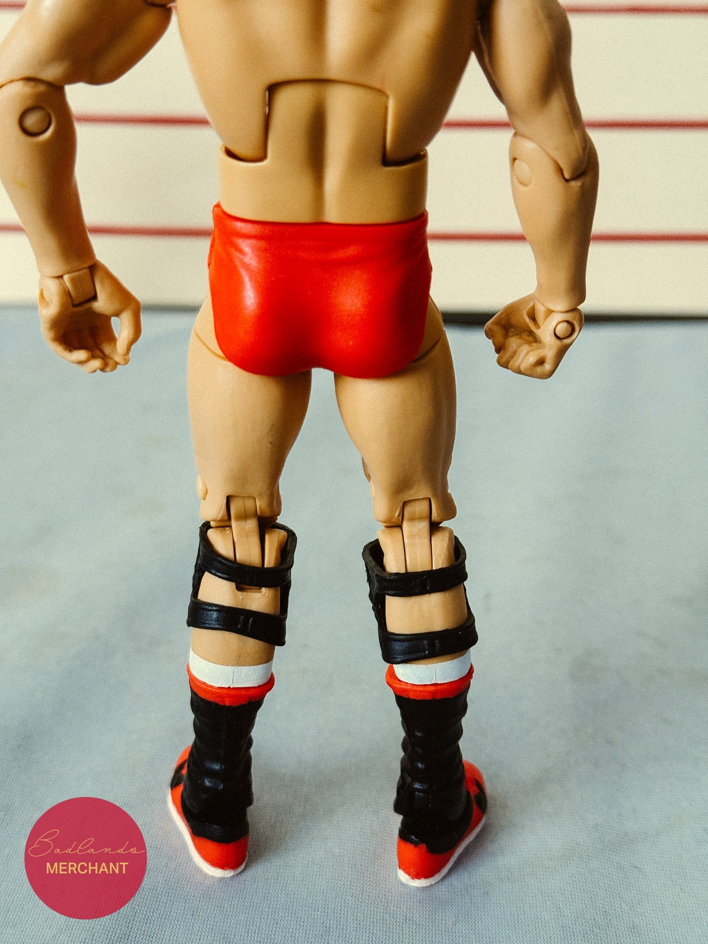 WWE Elite Legends 2 Terry Funk Figure