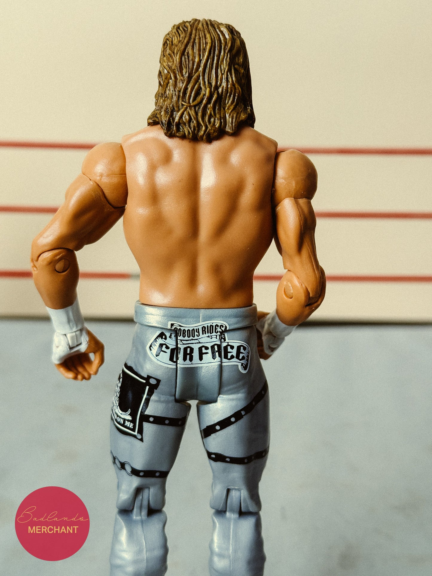 WWE 76 Dolph Ziggler Figure