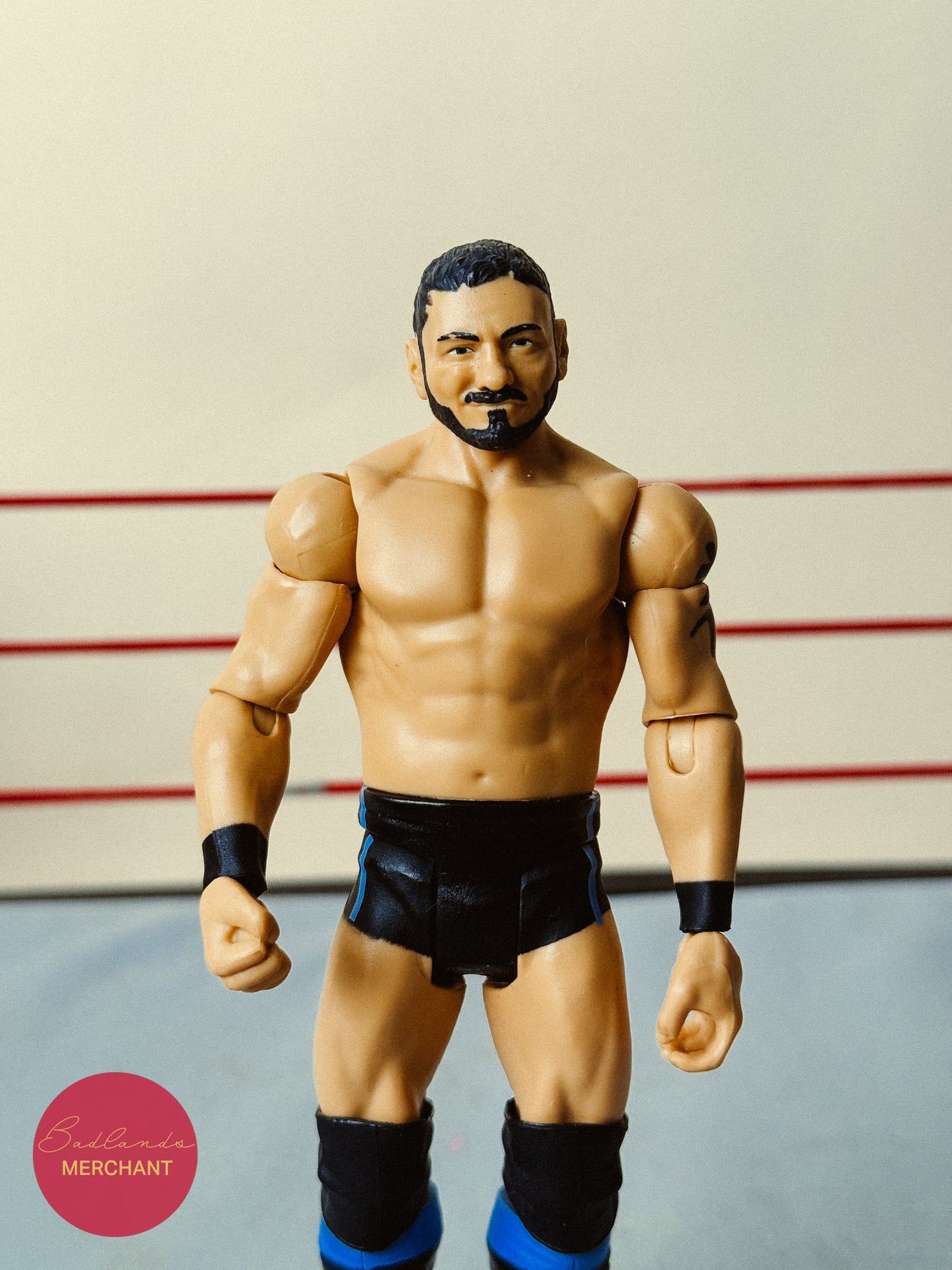 WWE Austin Aries 71 Figure NXT