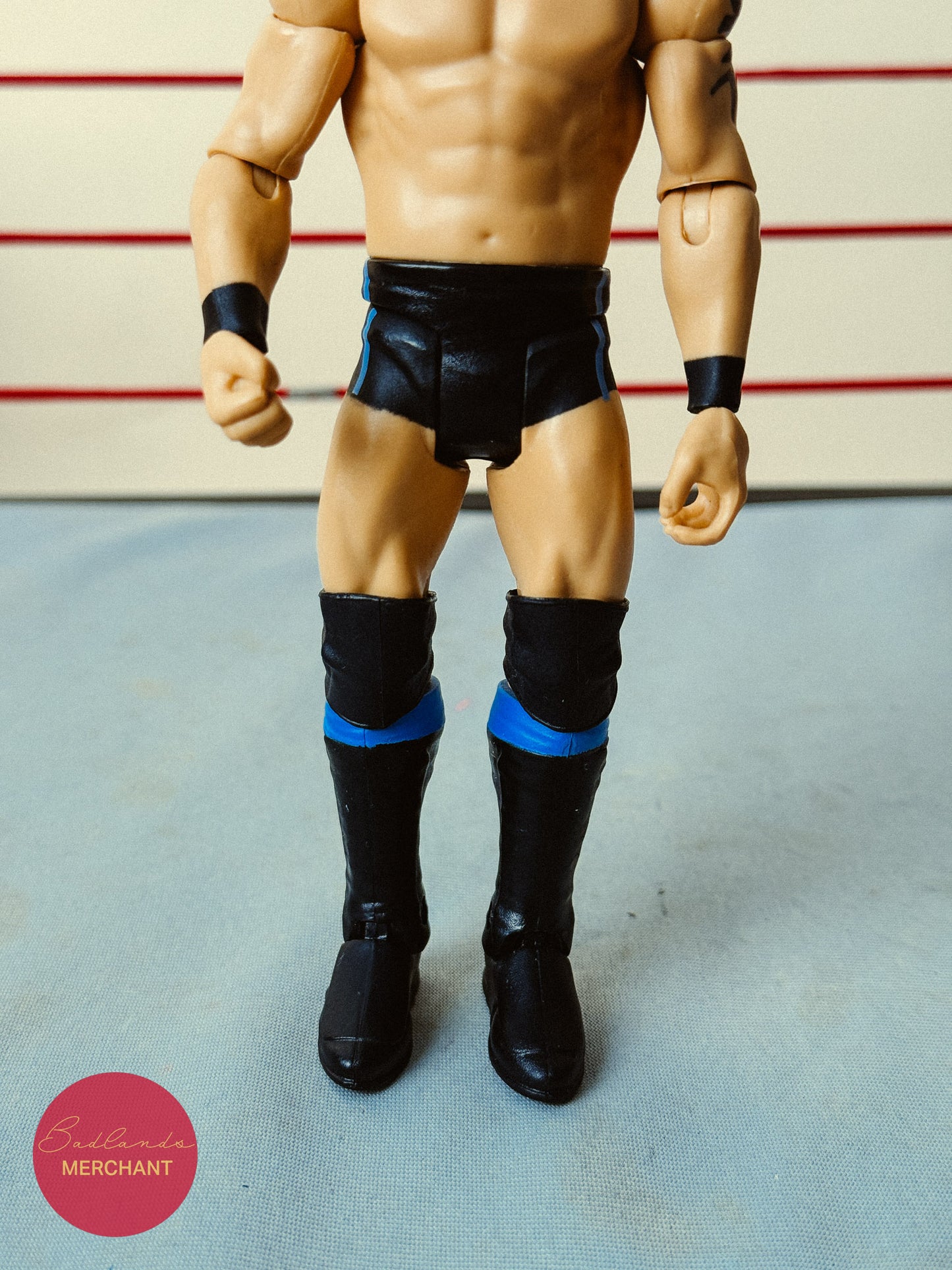 WWE Austin Aries 71 Figure NXT