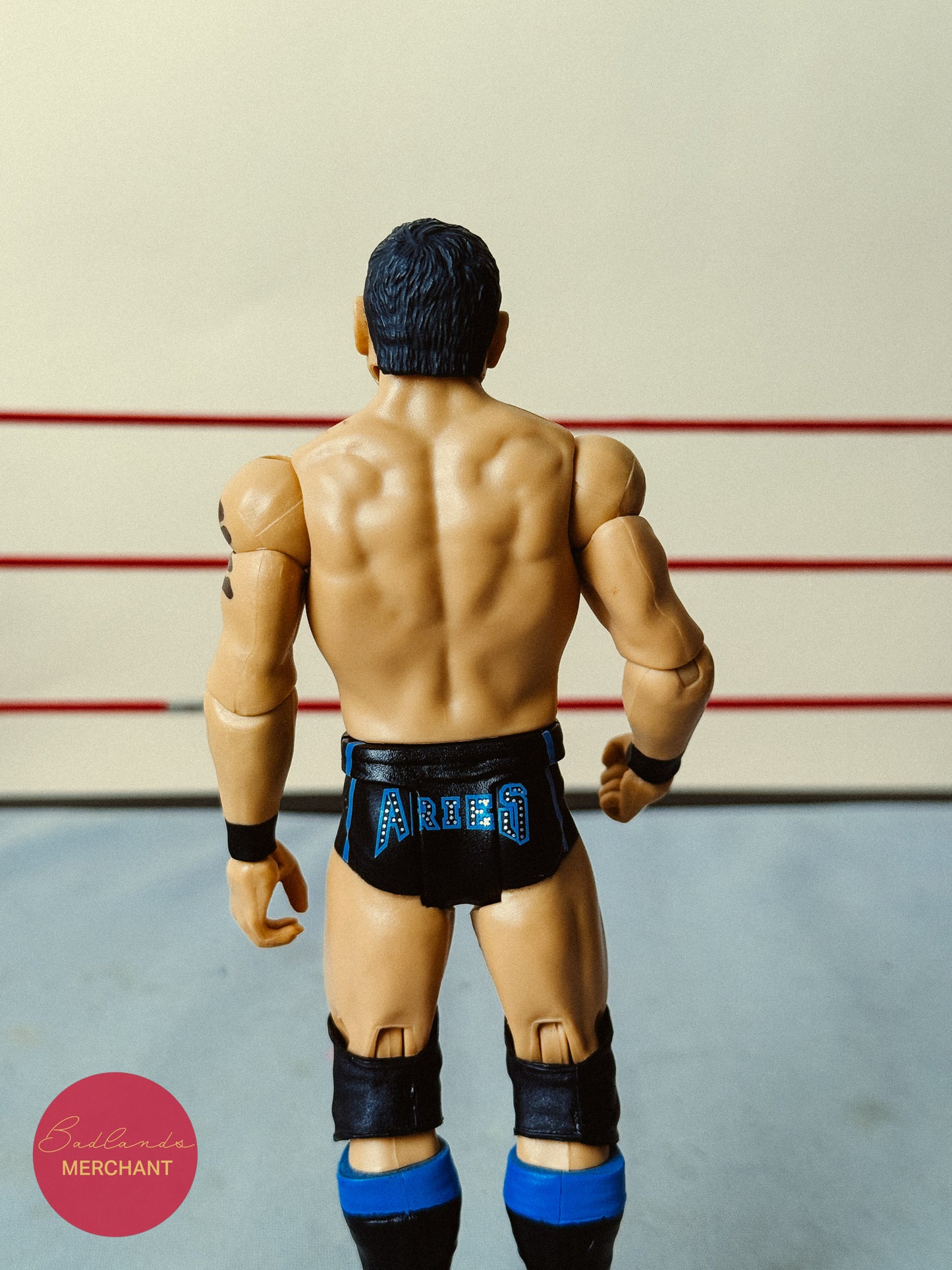 WWE Austin Aries 71 Figure NXT