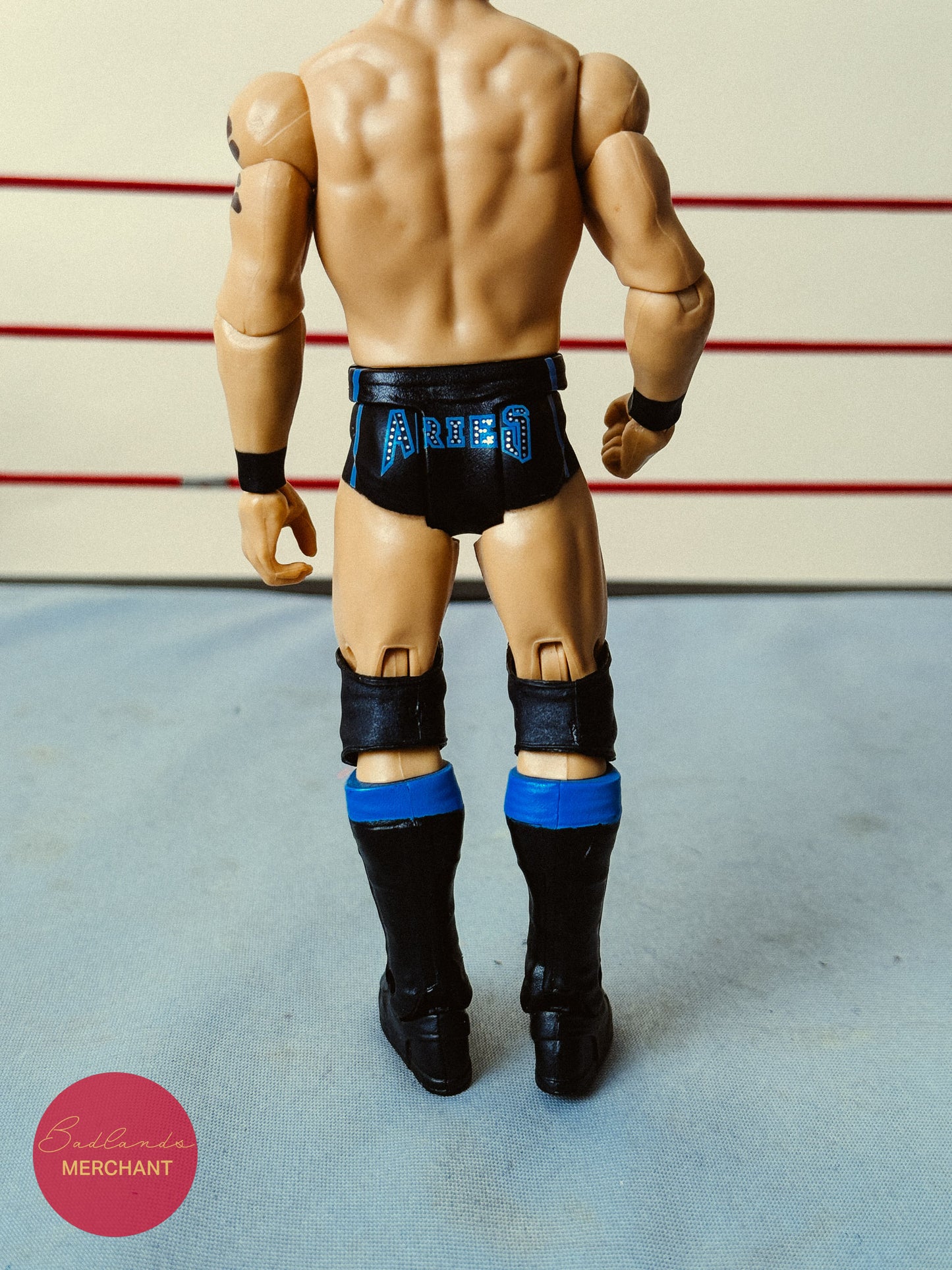 WWE Austin Aries 71 Figure NXT