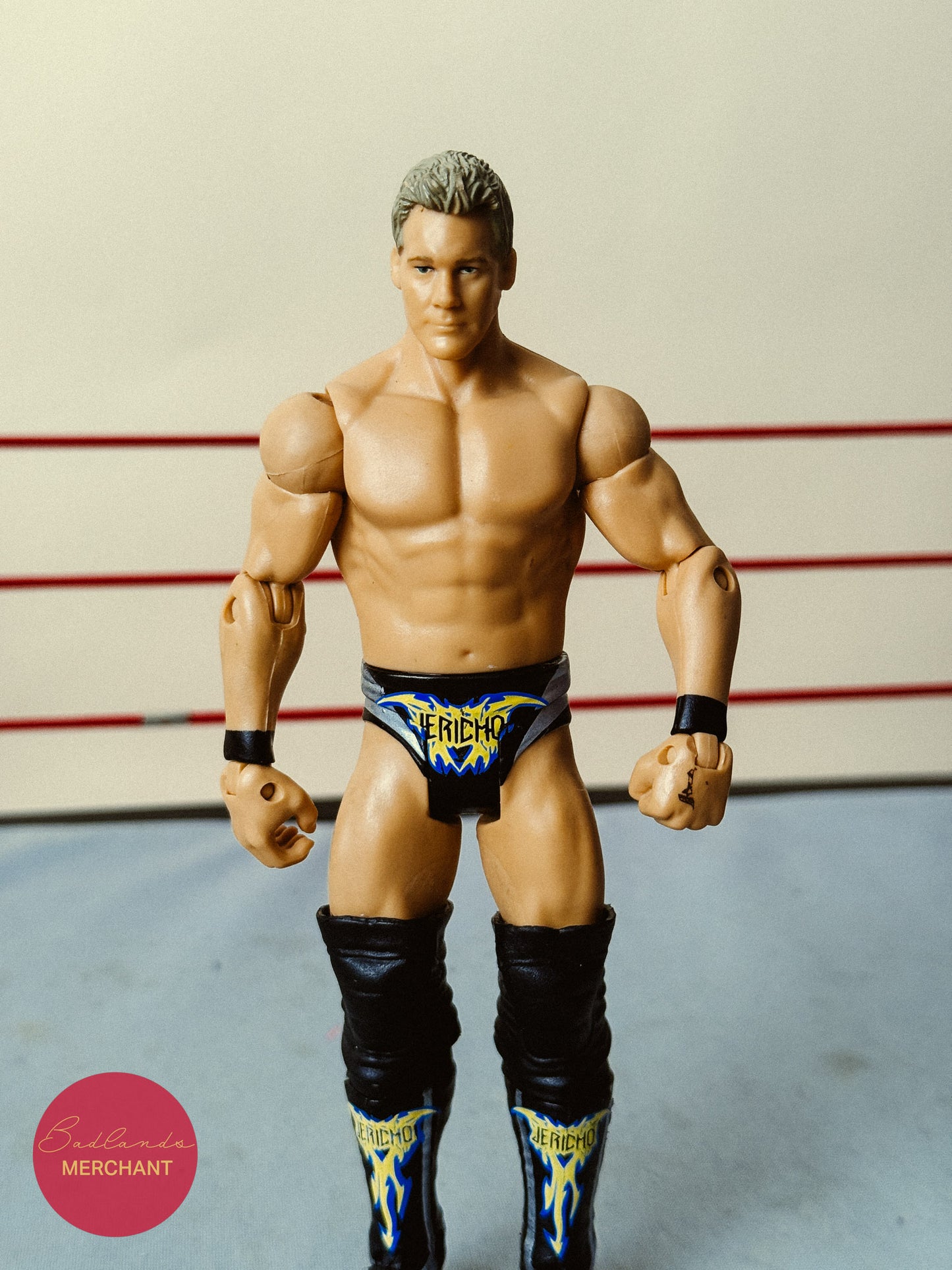 Chris Jericho Basic 22 Figure WWE