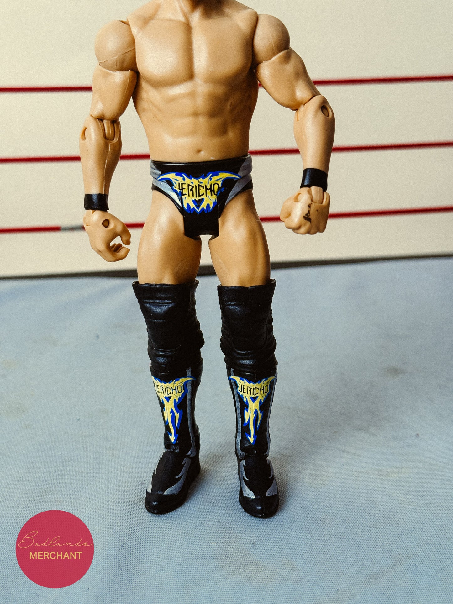 Chris Jericho Basic 22 Figure WWE