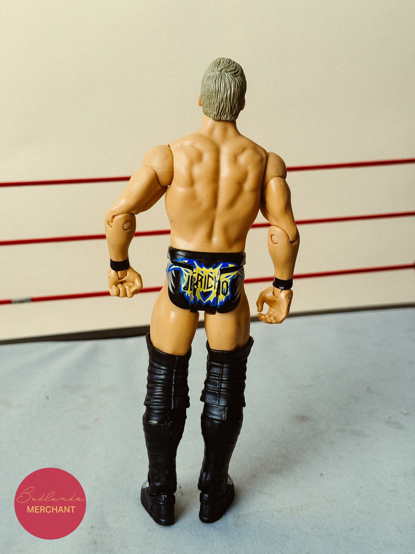 Chris Jericho Basic 22 Figure WWE
