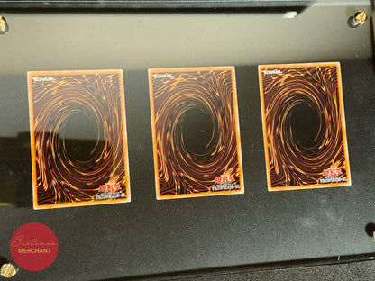 Yu-Gi-Oh! OCG 25th Anniversary Ultimate Kaiba Set Briefcase Japanese
