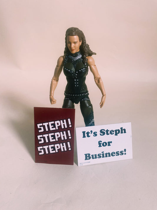 Stephanie McMahon Mattel Elite Series 37 Wrestling Figure WWE WWF with Poster