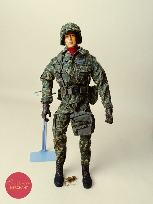 1/6 Dragon 12" Japan JGSDF Ground Self Defense Force