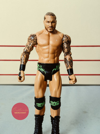 Randy Orton WWE Series Top Picks 2024