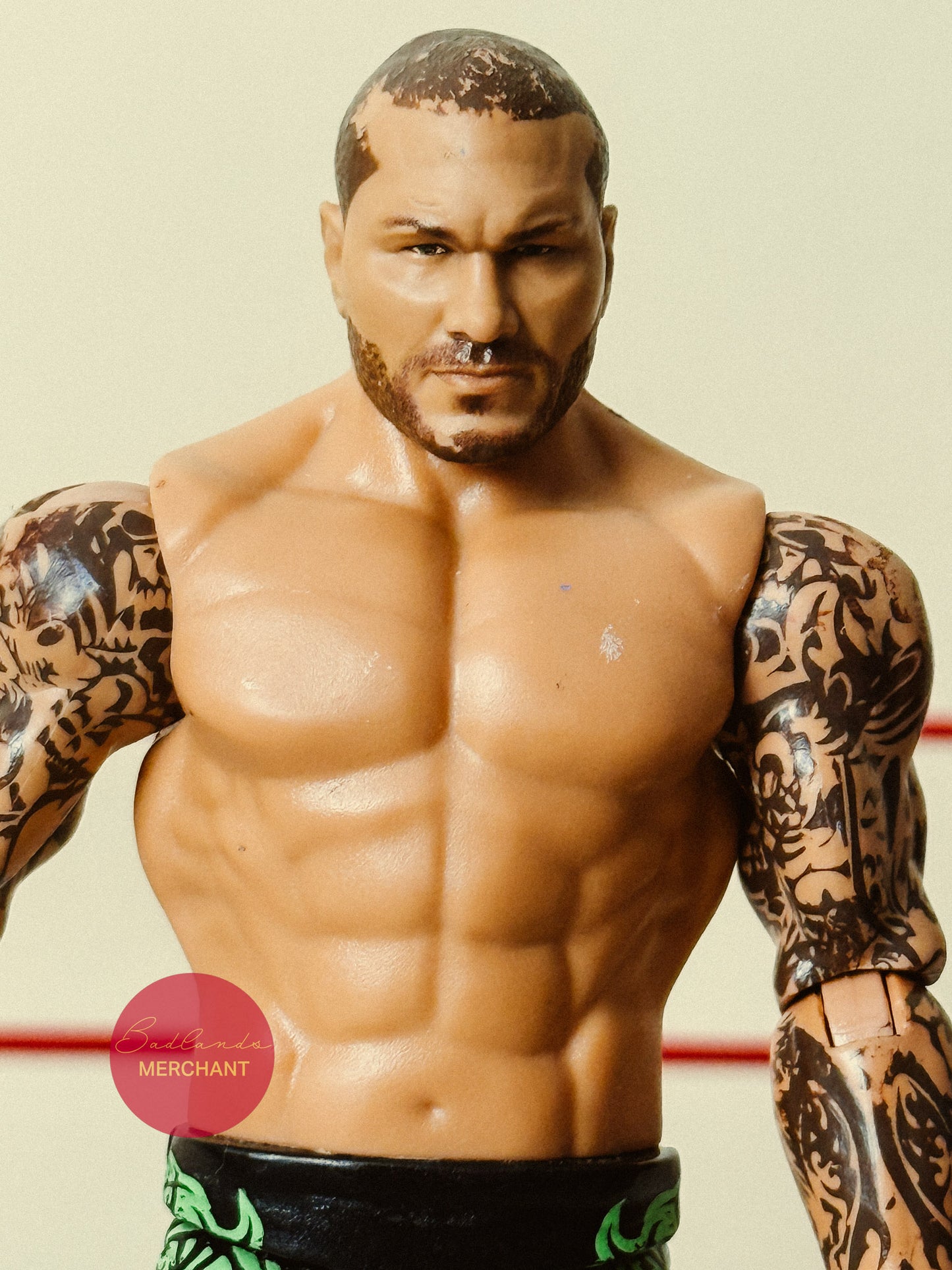 Randy Orton WWE Series Top Picks 2024