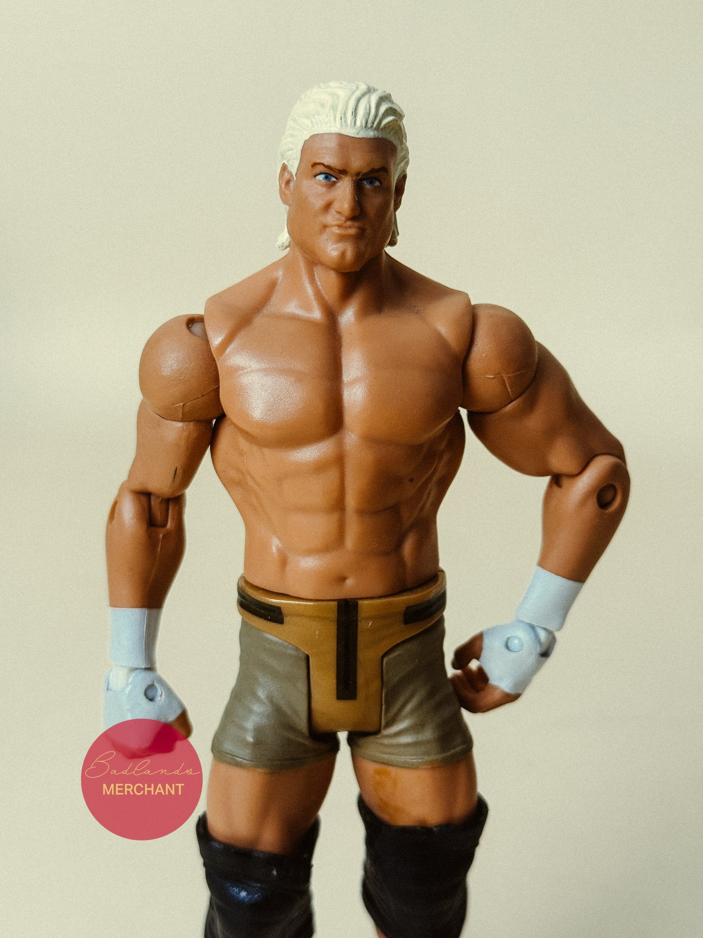 WWE Basic Series Dolph Ziggler Figure