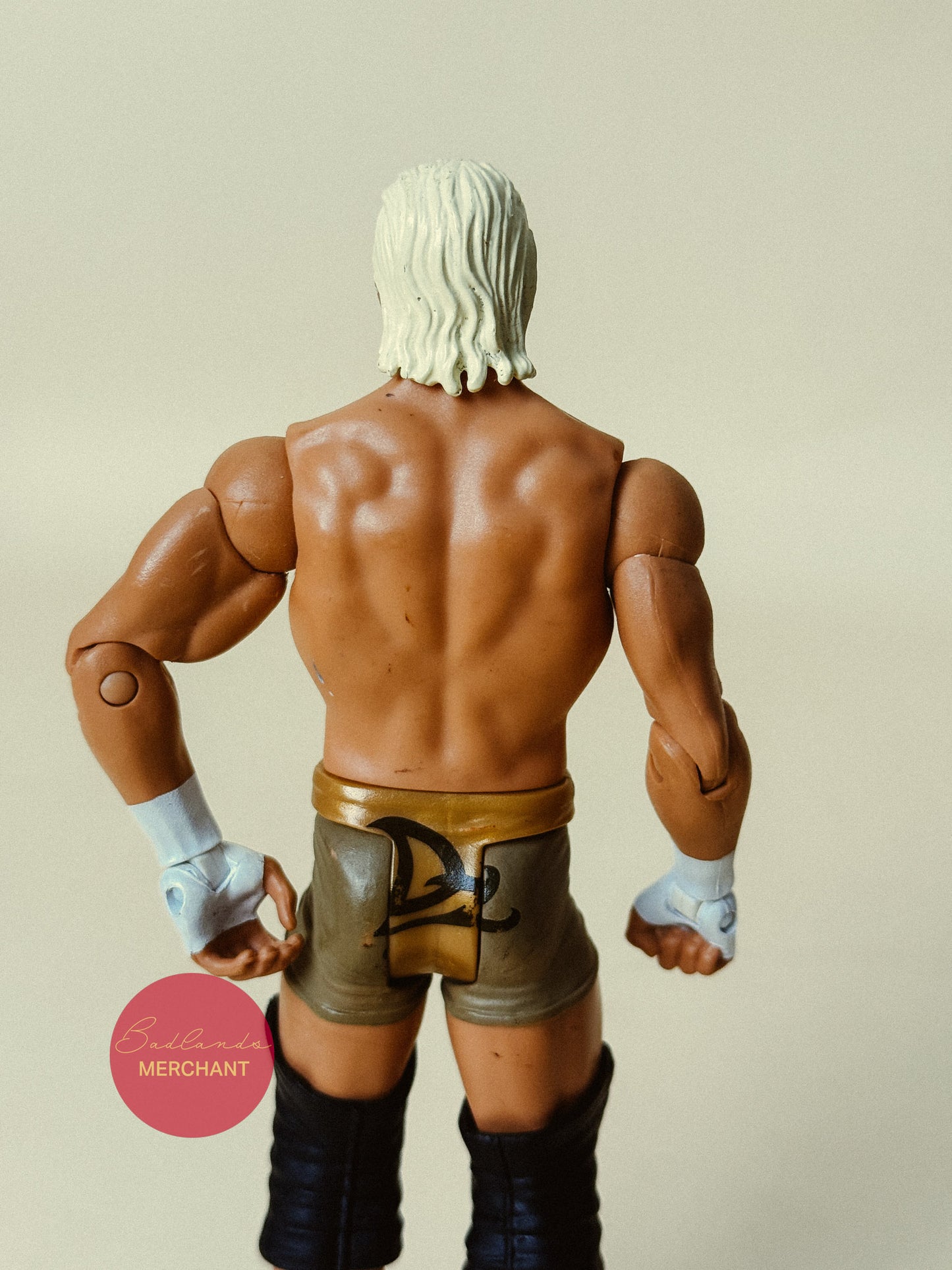 WWE Basic Series Dolph Ziggler Figure