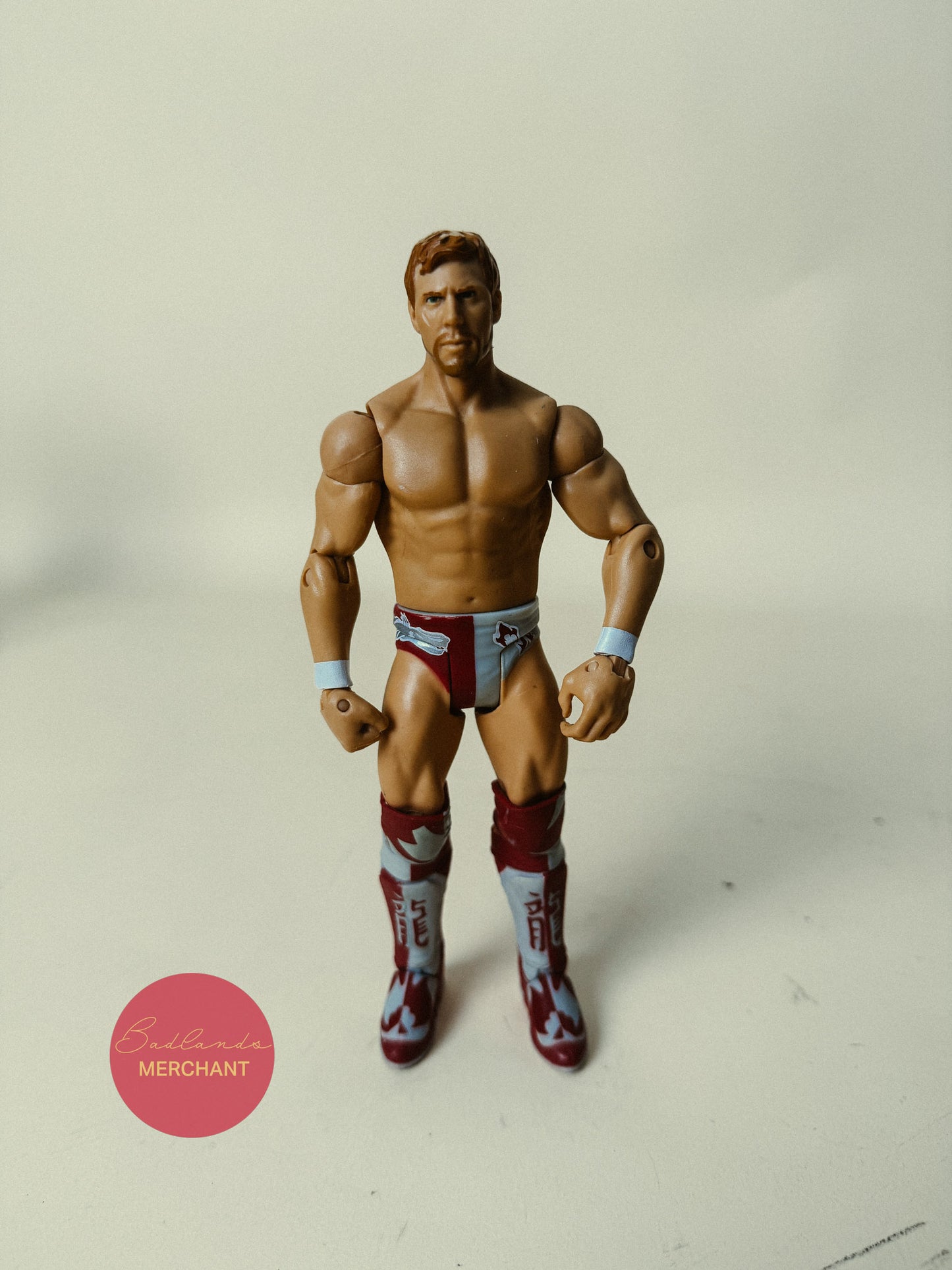 WWE Mattel Basic Daniel Bryan