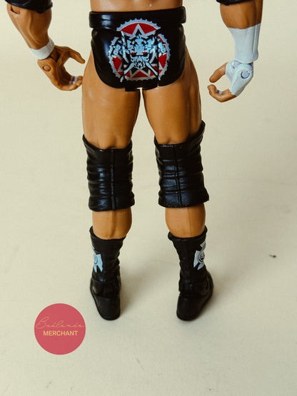 WWE Basic Series Triple H Mattel Figure HHH