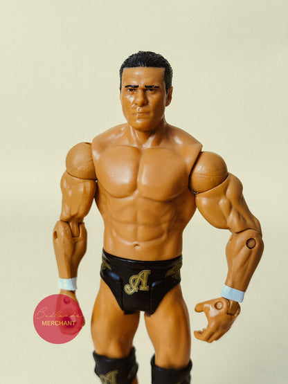 WWE Alberto Del Rio Mattel Basic Series 63 Figure