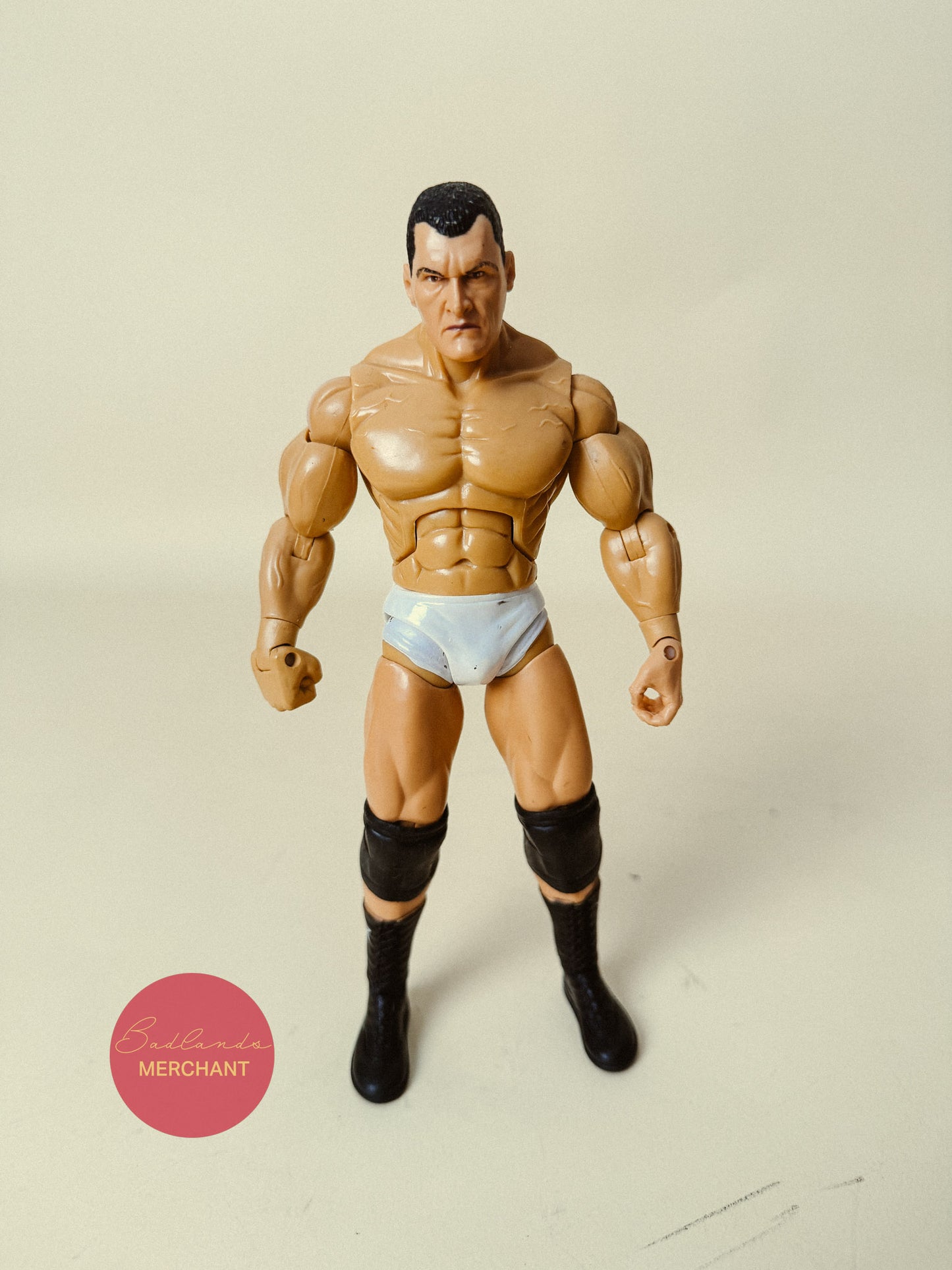 WWE Jakks Pacific Deluxe Aggression 21 Vladimir Kozlov