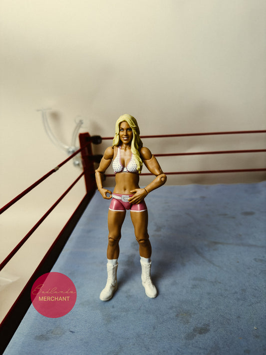 Mattel WWE Basic Series 6 Kelly Kelly Figure