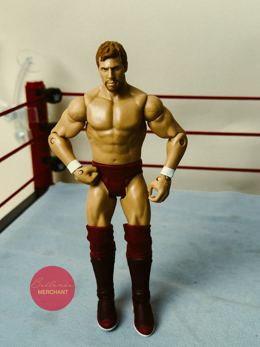 Mattel WWE Basic Series 11 Daniel Bryan Figure