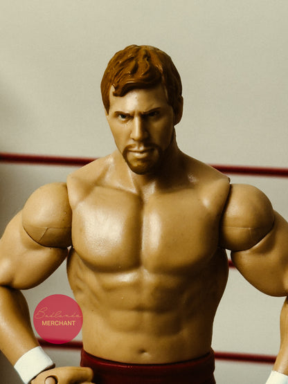 Mattel WWE Basic Series 11 Daniel Bryan Figure