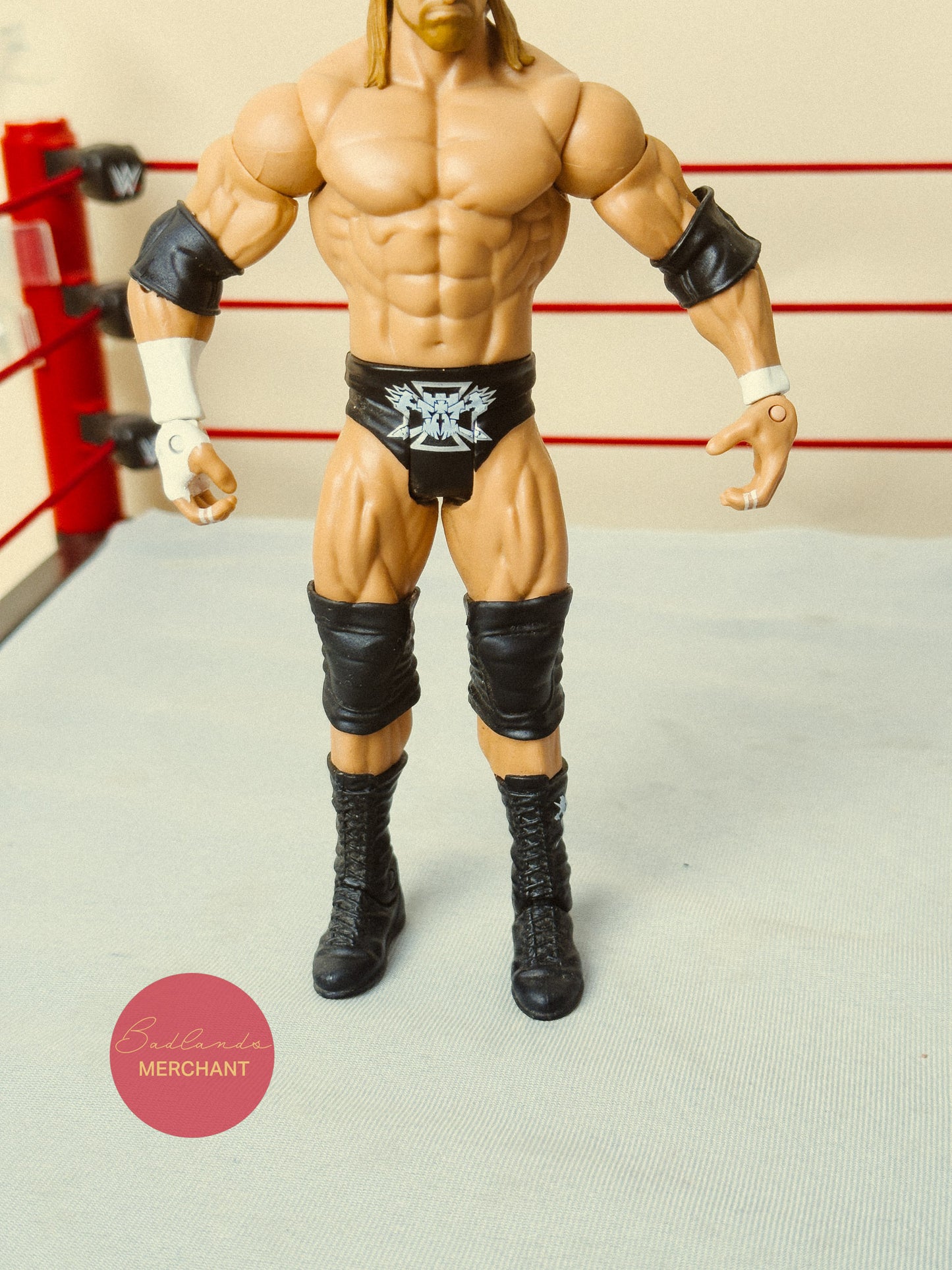 WWE Mattel Triple H Basic Figure