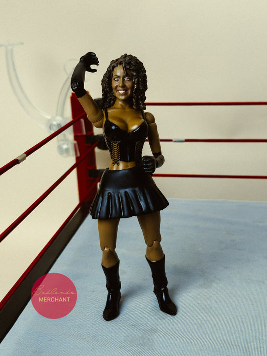 Jakks Pacific WWE ECW Layla Figure