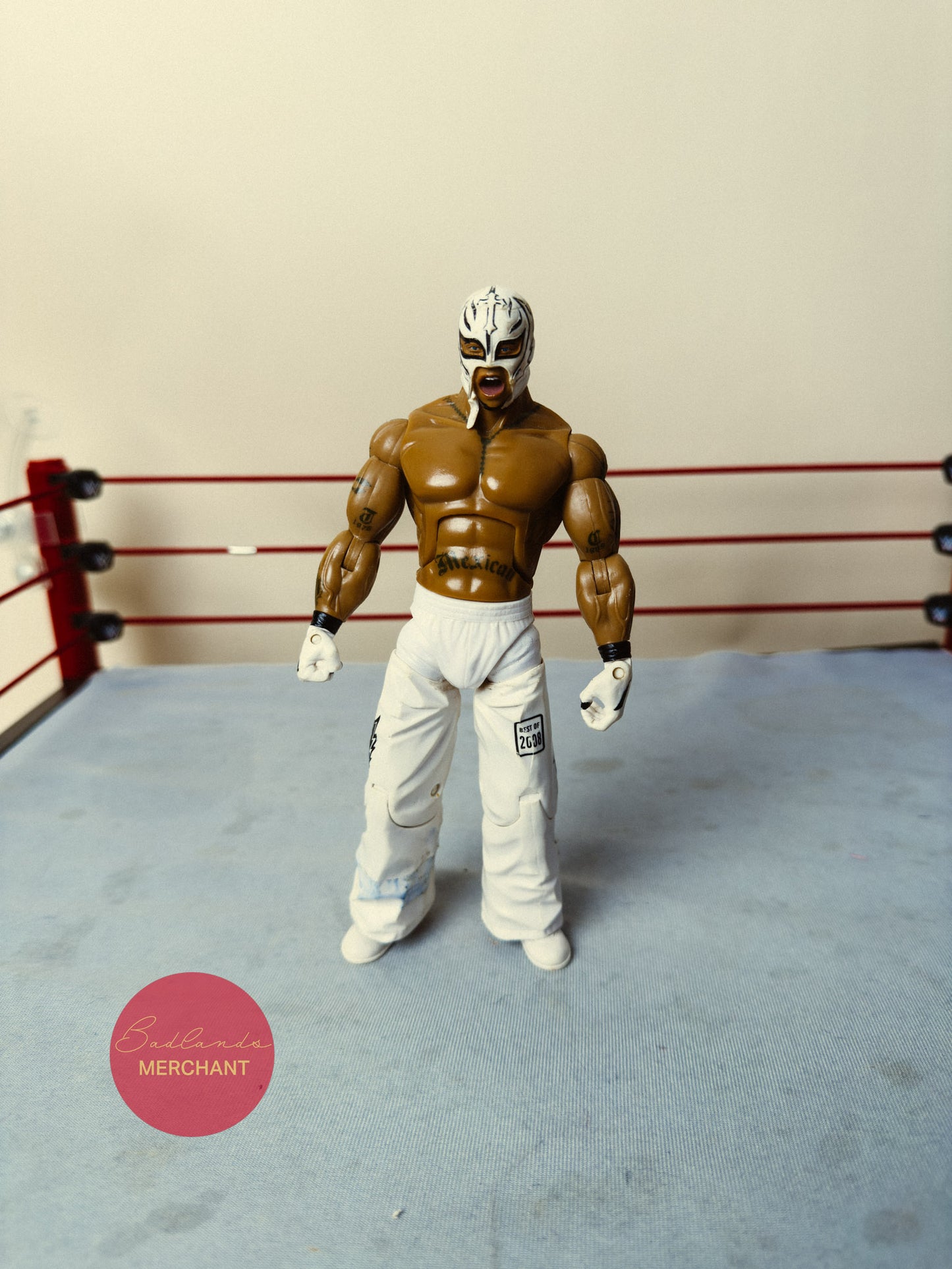 WWE Jakks Rey Mysterio Deluxe Aggression Best of 2008 Figure