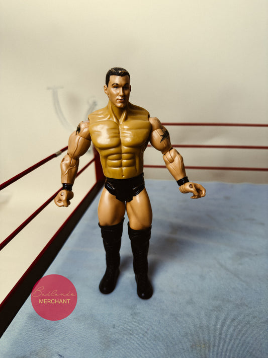 WWE Jakks Randy Orton Jakks Figure