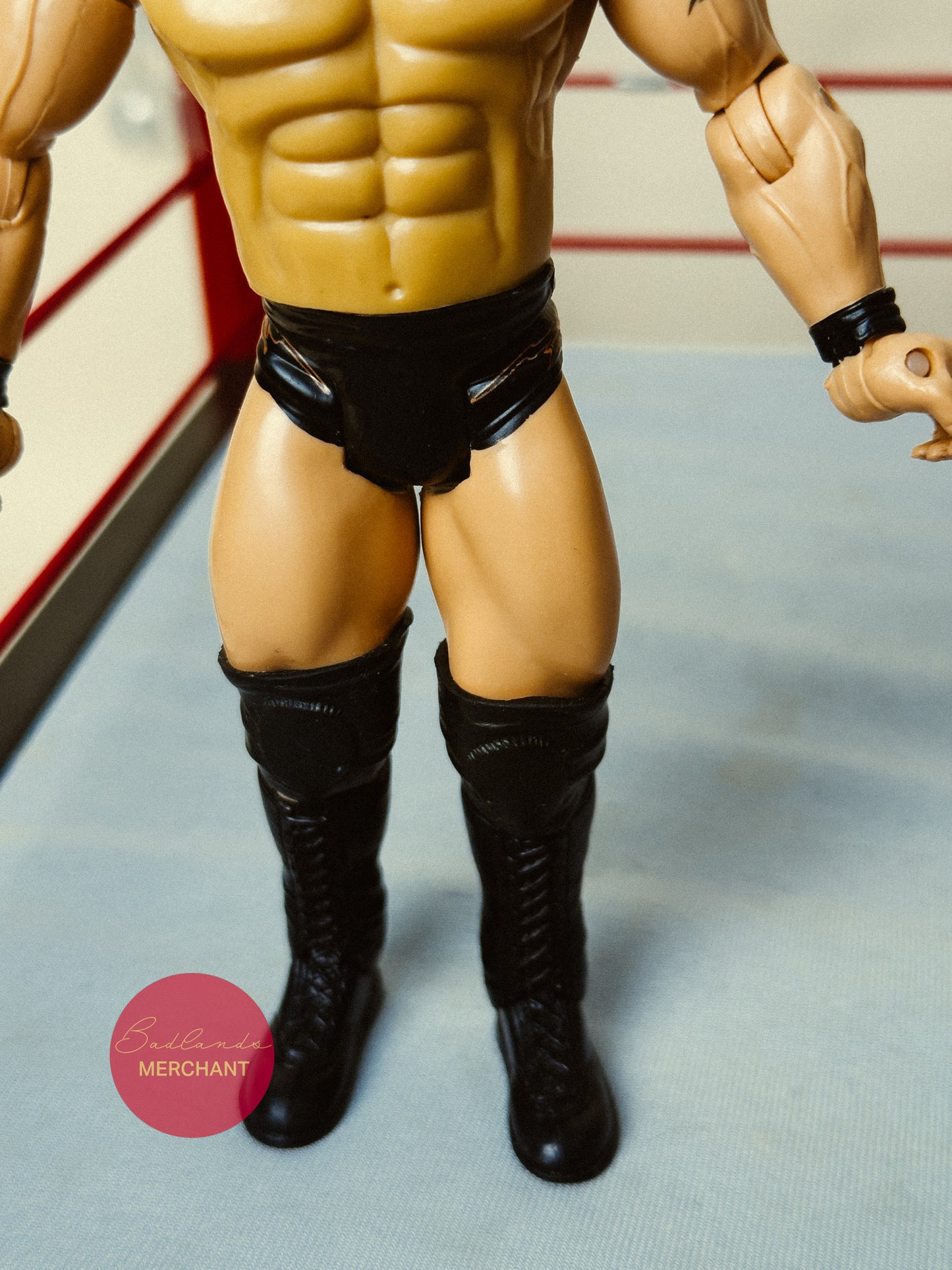 WWE Jakks Randy Orton Jakks Figure