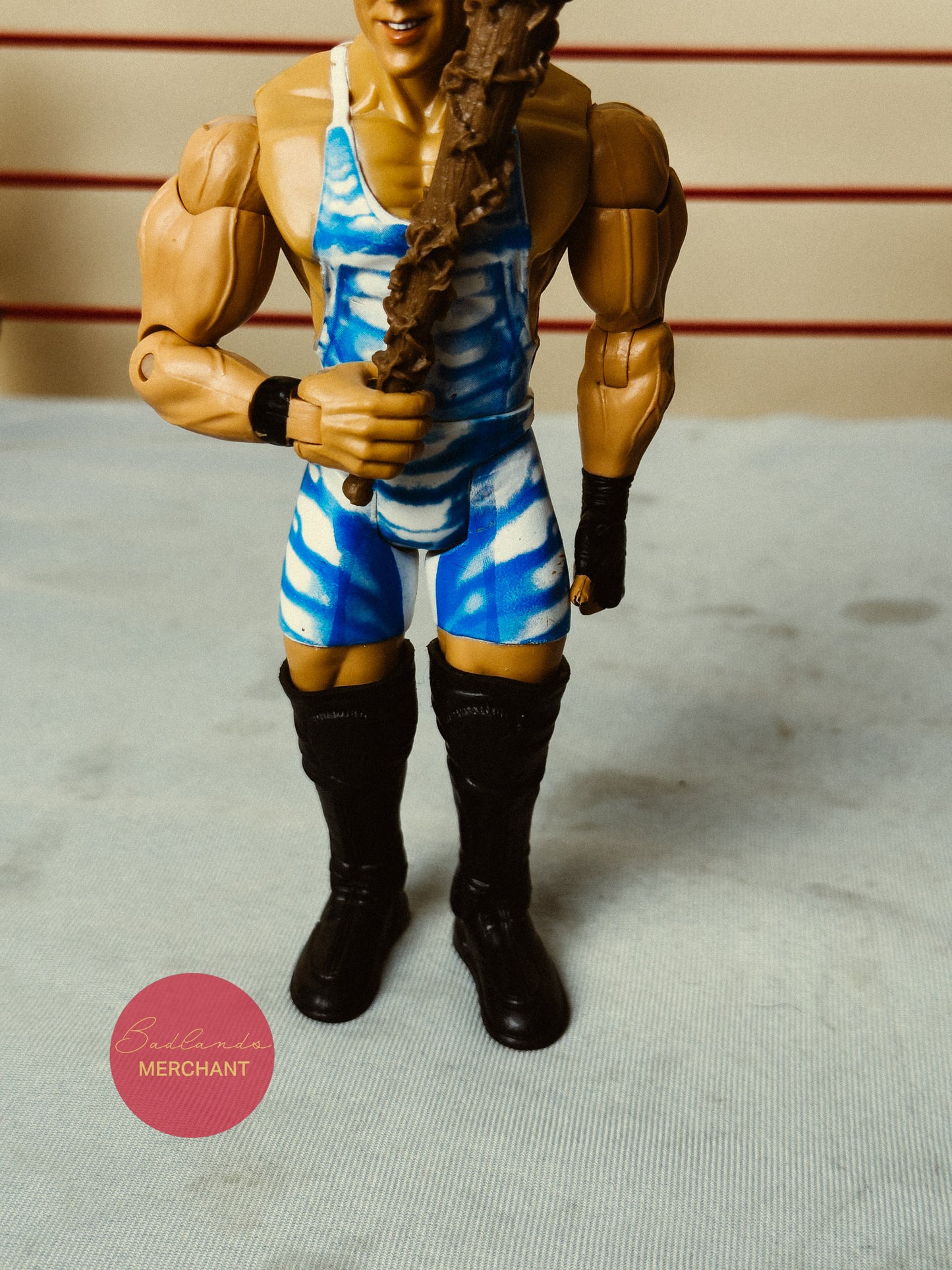 WWE Classic Superstars Rob Van Dam RVD Series 24 Figure