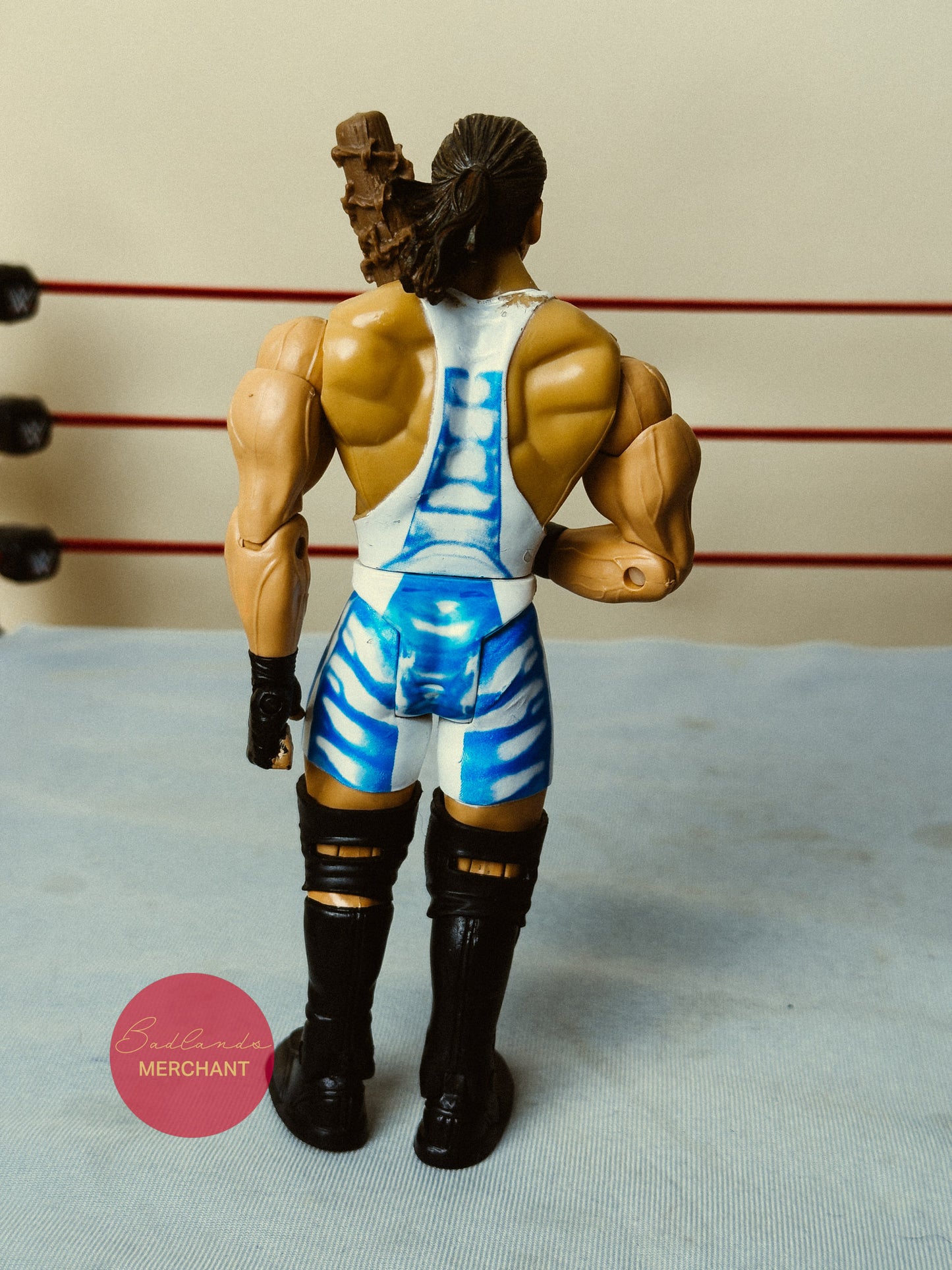 WWE Classic Superstars Rob Van Dam RVD Series 24 Figure