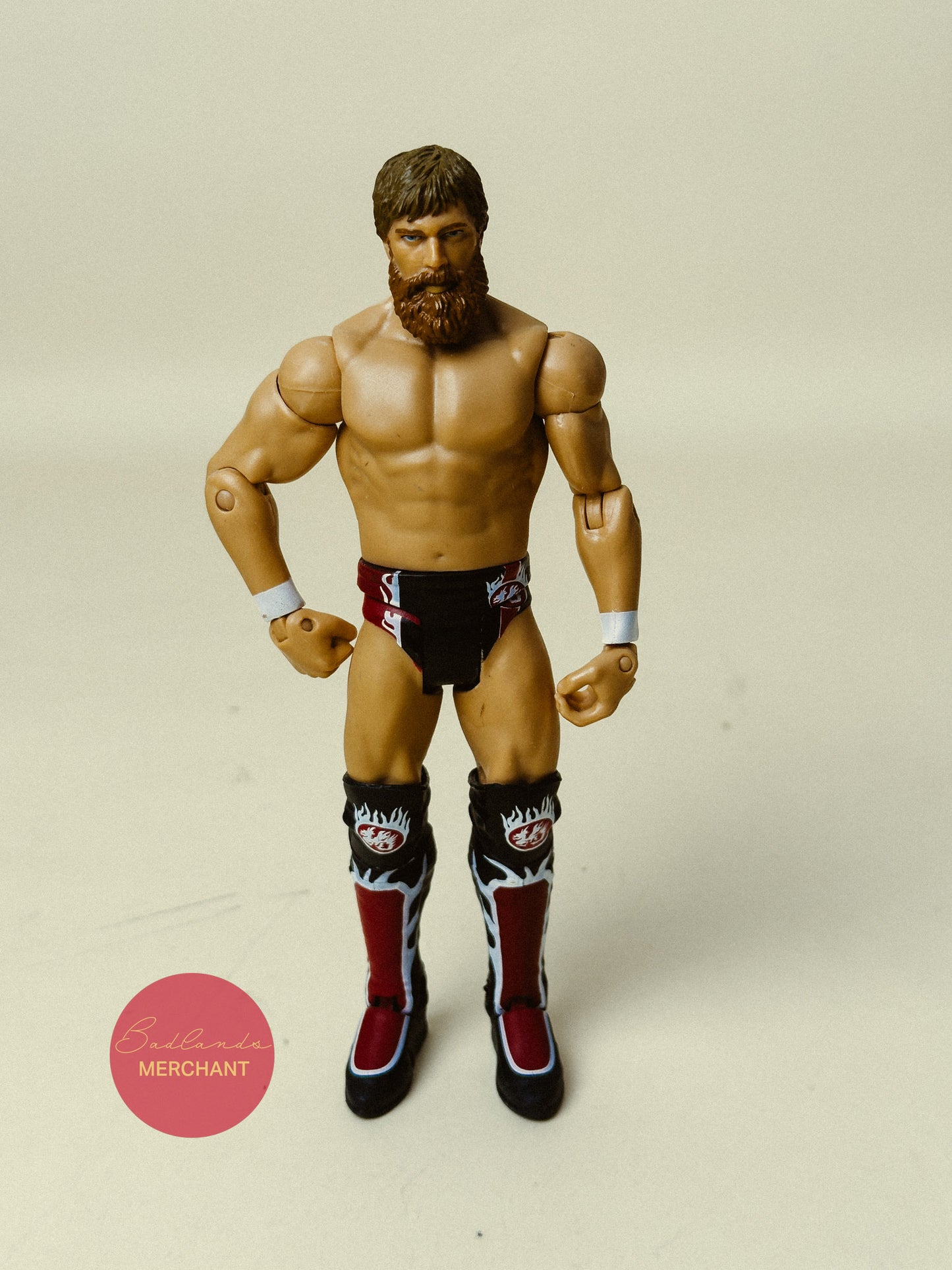 Daniel Bryan - WWE Series 35