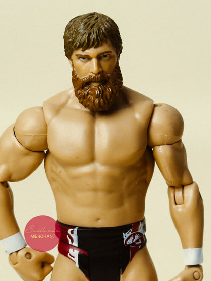 Daniel Bryan - WWE Series 35