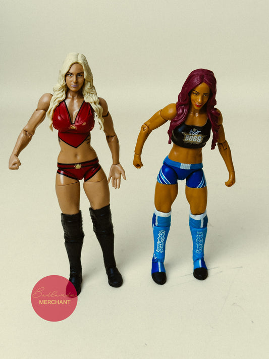 WWE Sasha Banks vs Charlotte Flair Battle Pack 47 Figures