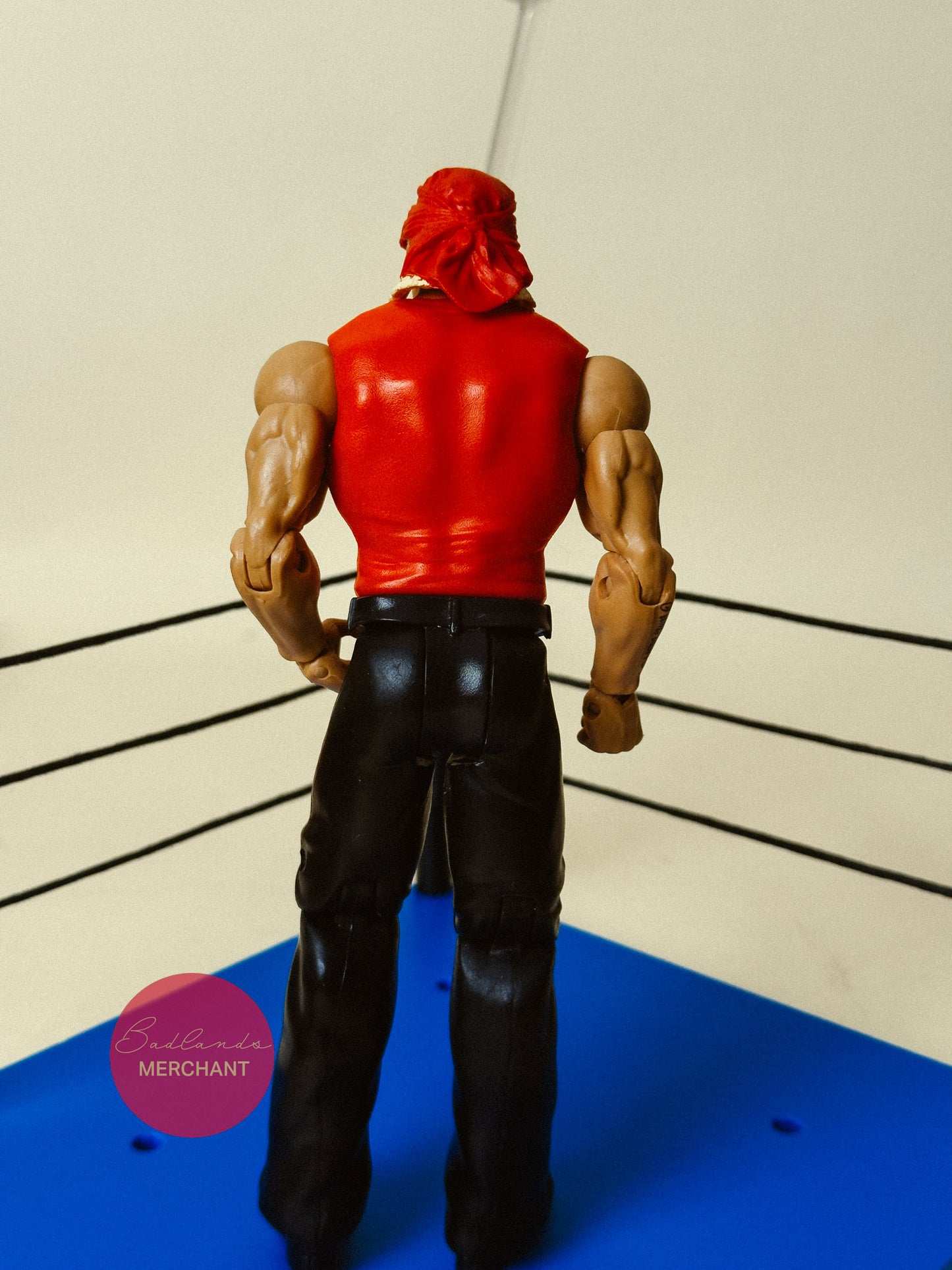 Hulk Hogan Hulkamania WWE Basic Signature Series Figure
