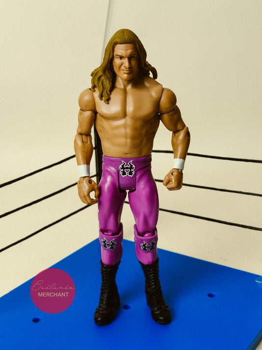 Mattel WWE Basic Summer Slam Heritage Series Triple H Figure