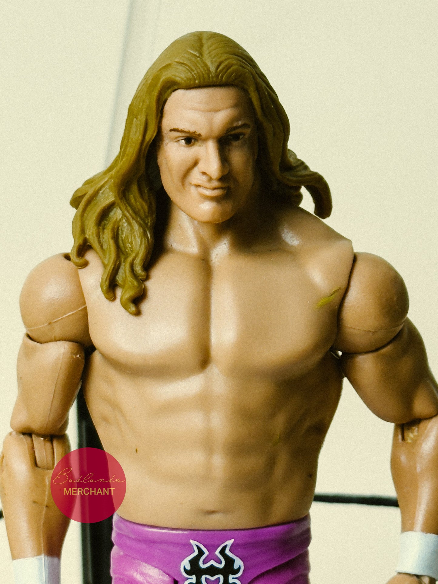Mattel WWE Basic Summer Slam Heritage Series Triple H Figure