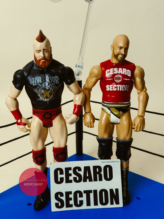 WWE Sheamus & Cesaro Battle Pack 49 Mattel Figures
