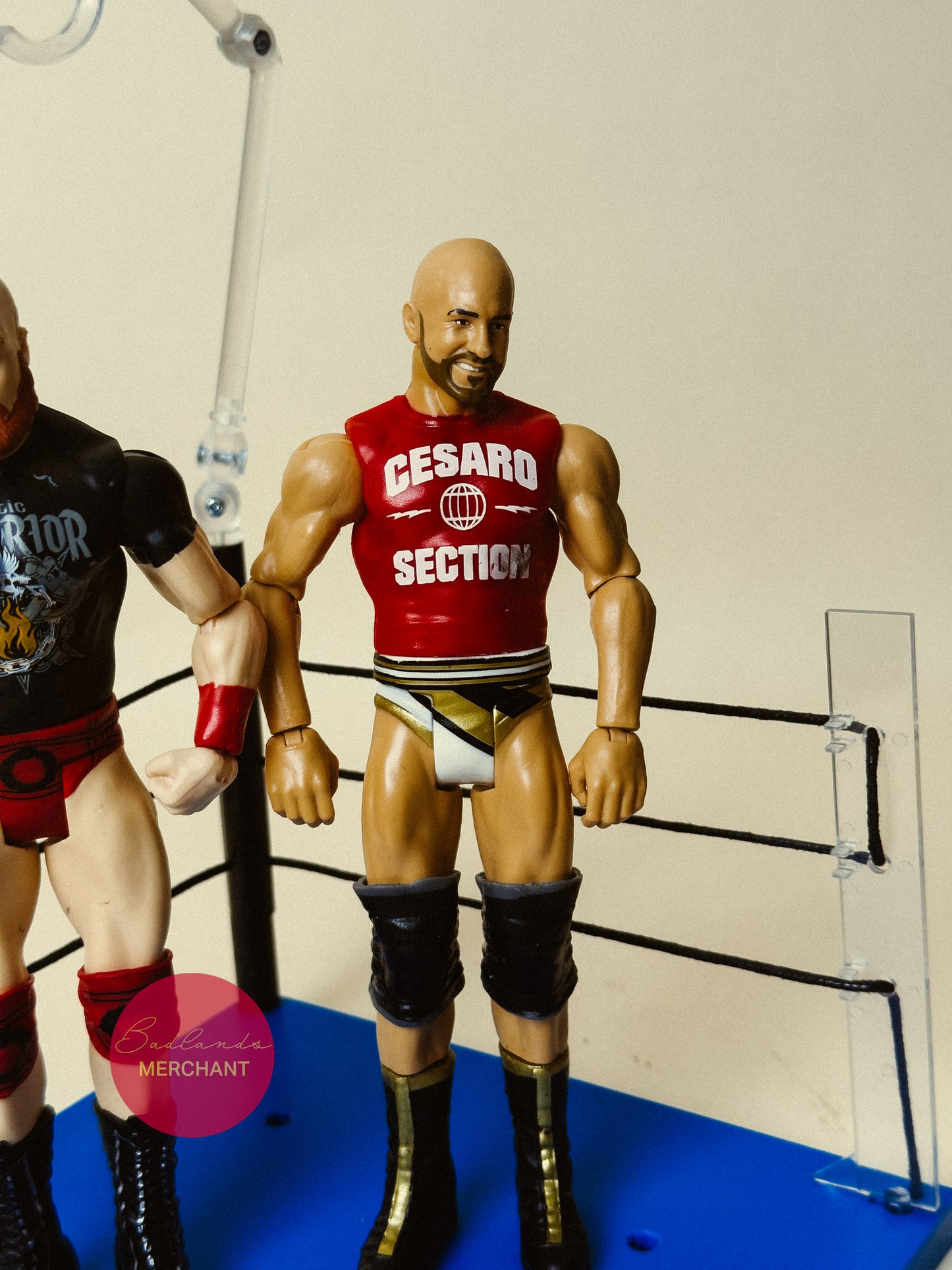 WWE Sheamus & Cesaro Battle Pack 49 Mattel Figures