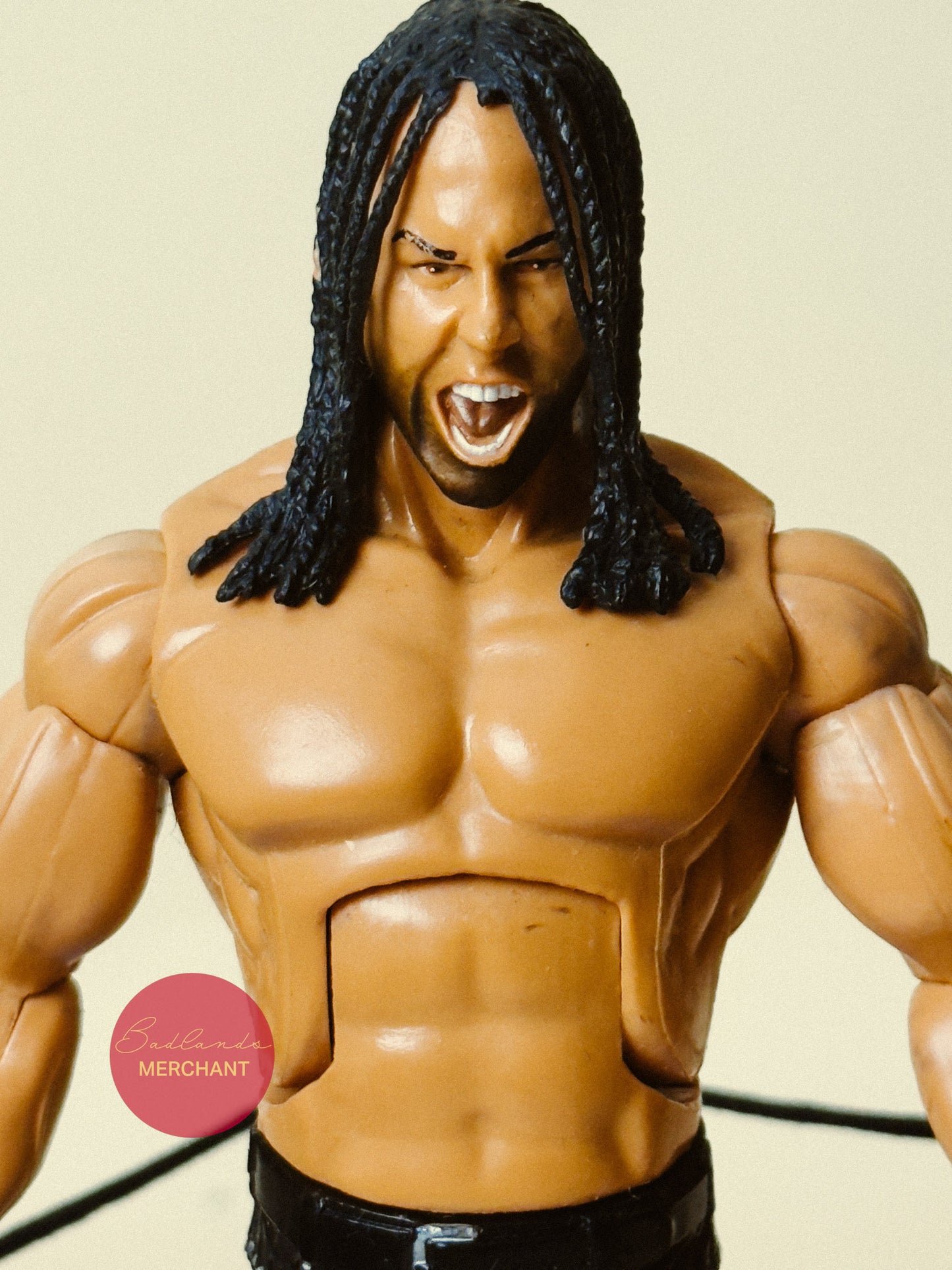 Matt Hardy - Twist of Hate Ringside Exclusive Deluxe Impact Pack
